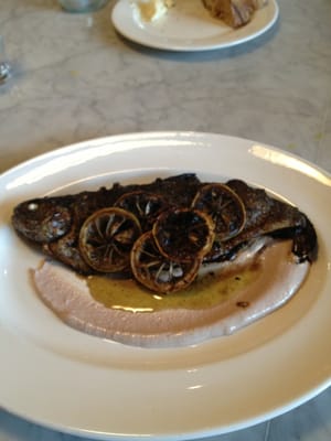 The Whale Wins by null The Whale Wins by null