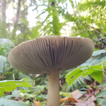 Milo McIver State Park - Parks Near Me - Estacada, Oregon