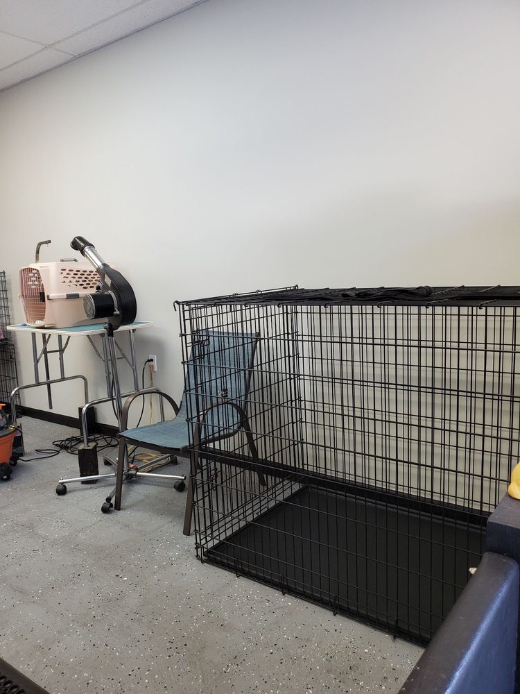 SOUTHPAW PET GROOMING Updated September 2024 14 Photos 233 N