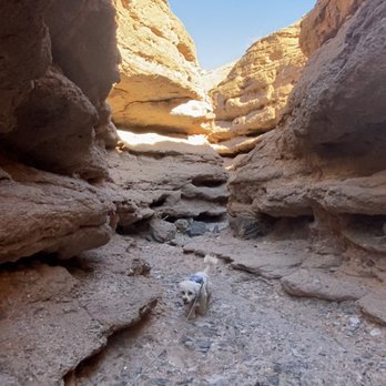White Owl Canyon - Hiking Near Me - Boulder City, Nevada