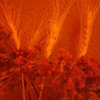 Ruby Spa Massage - 2015 10 21 - Massage Near Me - Oceanside, California