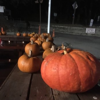 Alice's Restaurant - Pumpkins galore - Diners Near Me - Woodside, California