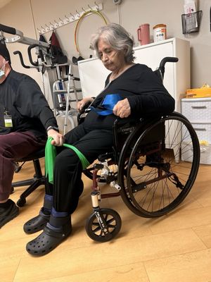 The Pavilion at Sunny Hills by null