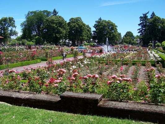 Peninsula Park Rose Garden by null