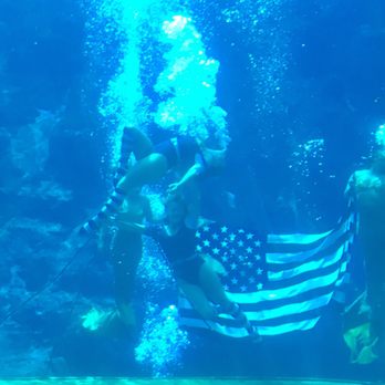 Weeki Wachee Springs - "Proud to be an American" - Amusement Parks Near Me - Spring Hill, Florida Weeki Wachee Springs - "Proud to be an American" - Amusement Parks Near Me - Spring Hill, Florida