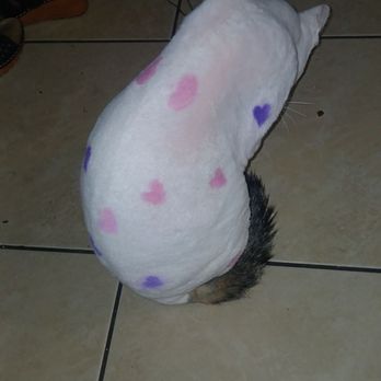 Mother Fluffer Mobile Pet Grooming - Valentines Day special - Pet Groomers Near Me - Highland, California Mother Fluffer Mobile Pet Grooming - Valentines Day special - Pet Groomers Near Me - Highland, California