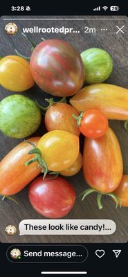 Well Rooted Farms by null