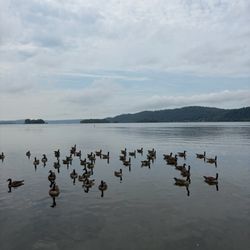 Columbia Crossing Rivers Trails Center