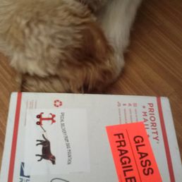 Woof!  Our package from Sally at Dog Mountain is here!