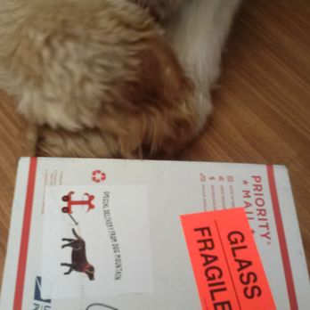 Dog Mountain - Woof!  Our package from Sally at Dog Mountain is here! - Dog Parks Near Me - St. Johnsbury, Vermont