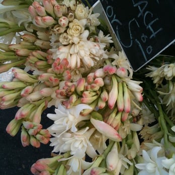 Hidalgo Flowers - Florists Near Me - Vista, California
