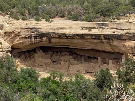 Cliff Palace by null