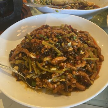 Shang Cafe - Szechuan Near Me - San Jose, California Shang Cafe - Szechuan Near Me - San Jose, California