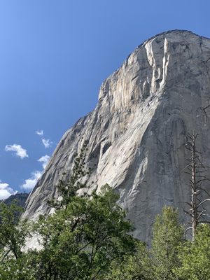 El Capitan by null