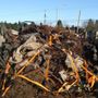Photo of Jim's Junk Removal