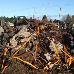 Jim's Junk Removal - Yard debris