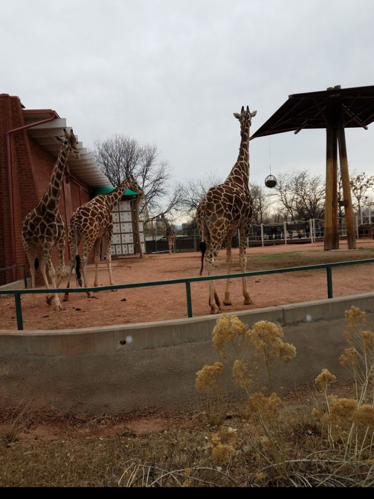 Baby Steps at Regina's Daycare - childcare center in Aurora, CO