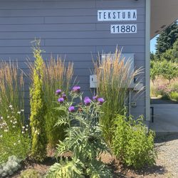 Tekstura