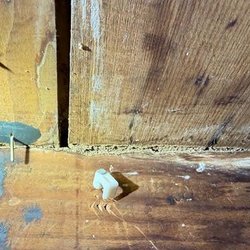 P.I. Home Inspection Services