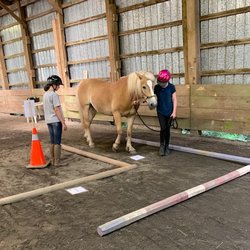 Serenity Acres Family Ranch - Equine Assisted Learning (EAL)