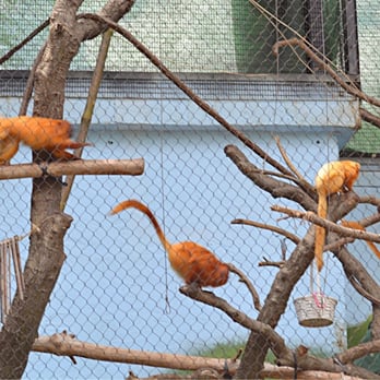 Micke Grove Zoo - Zoos Near Me - Lodi, California