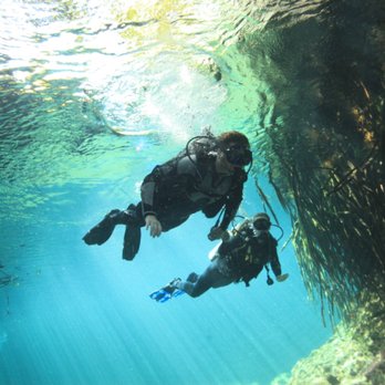 Diving Universe - Scuba Diving Near Me - Tulum, ROO