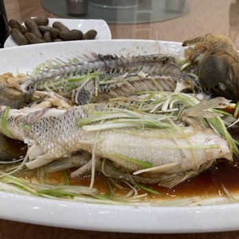 Golden Palace - Steamed Carp Fish - Chinese Near Me - Flushing, New York
