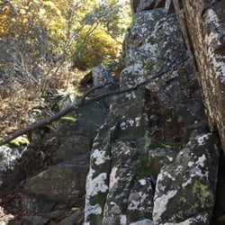 Mount Marshall Trailhead