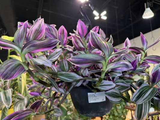 【OK plant】 Happy Plants, 10413 N May Ave, Oklahoma City, OK 73120, US