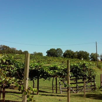 Treehouse Vineyards - Perfect Day - Venues & Event Spaces Near Me - Monroe, North Carolina Treehouse Vineyards - Perfect Day - Venues & Event Spaces Near Me - Monroe, North Carolina