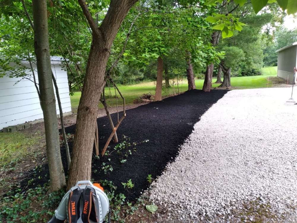 Los Primos Landscape - tree service in Cleveland, OH