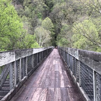 Big South Fork Scenic Railway - Trains Near Me - Stearns, Kentucky
