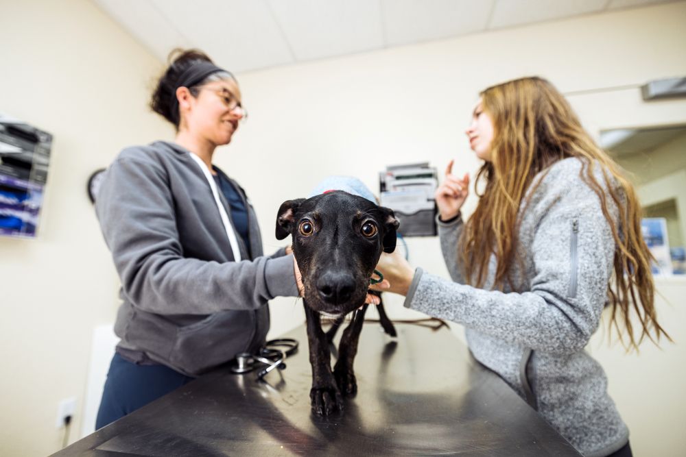 PET NETWORK COMMUNITY HOSPITAL Updated August 2024 Request