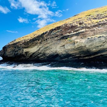 Maui Reef Adventures - Molokini - Snorkeling Near Me - Ma'alaea, Hawaii Maui Reef Adventures - Molokini - Snorkeling Near Me - Ma'alaea, Hawaii