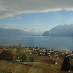 Vignoble en terrasses de Lavaux - Lavaux: vignobles en terrasses et lac Léman