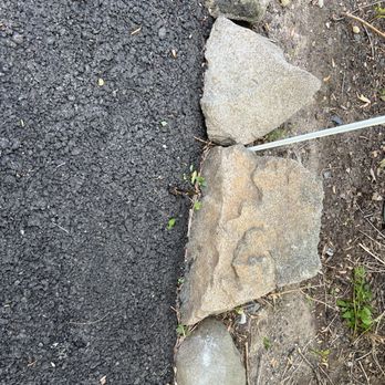 Scaffidi’s Paving And Excavating - Tree growing out of my driveway - General Contractors Near Me - West Haverstraw, New York Scaffidi’s Paving And Excavating - Tree growing out of my driveway - General Contractors Near Me - West Haverstraw, New York
