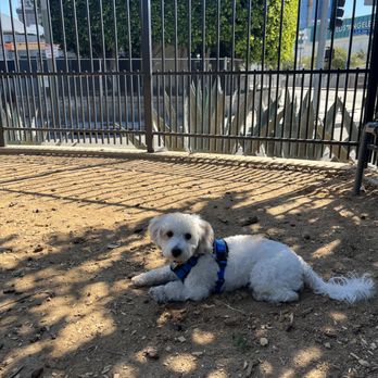 LA Live - Dog Parks Near Me - Los Angeles, California LA Live - Dog Parks Near Me - Los Angeles, California
