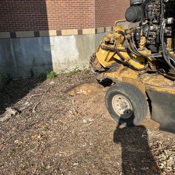 Carr’S Tree Removal & Landscaping - Grinding stumps - Landscaping Near Me Carr’S Tree Removal & Landscaping - Grinding stumps - Landscaping Near Me