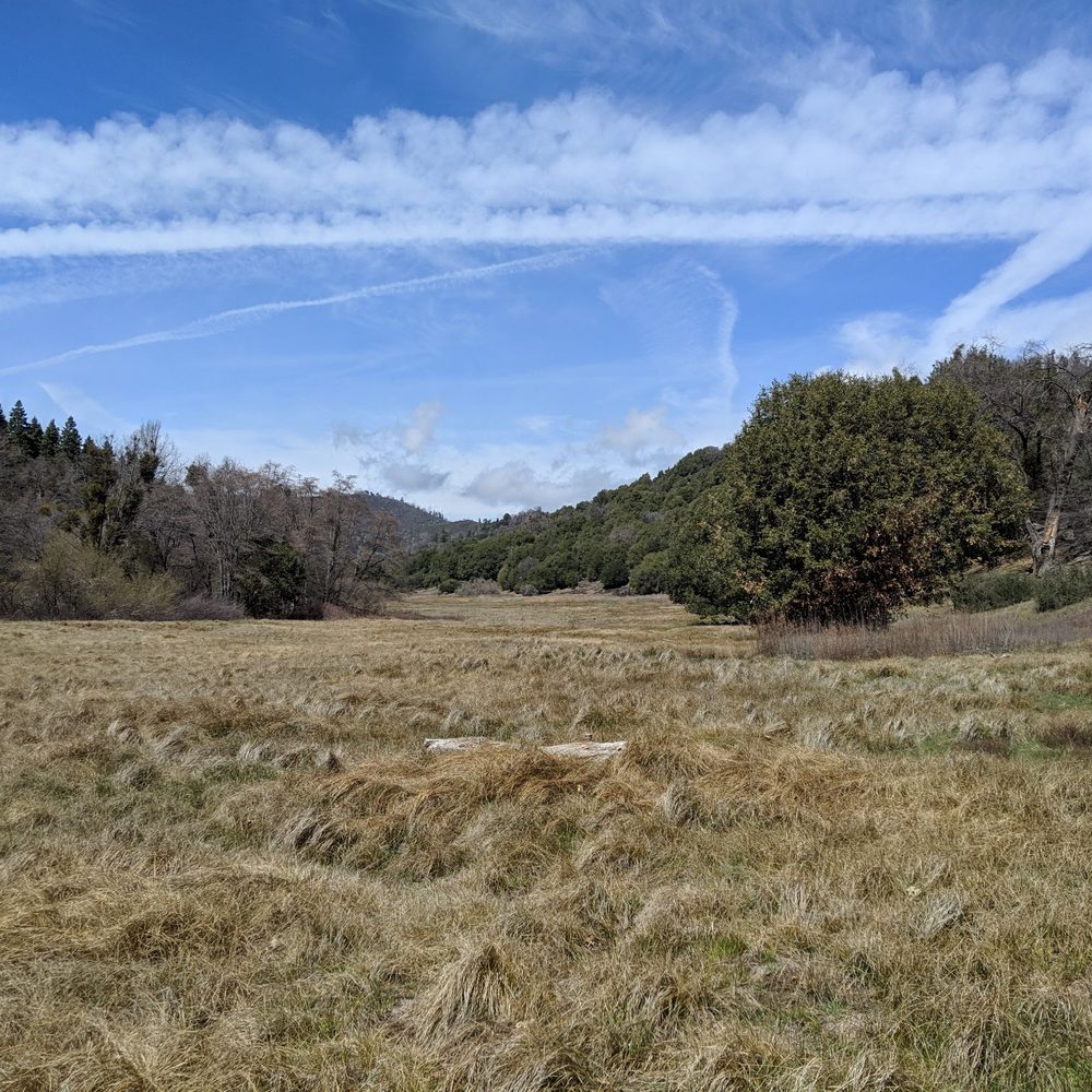 Palomar Mountain State Park - Parks Near Me - Palomar Mountain, California Palomar Mountain State Park - Parks Near Me - Palomar Mountain, California