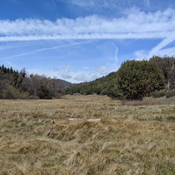 Palomar Mountain State Park - Parks Near Me - Palomar Mountain, California Palomar Mountain State Park - Parks Near Me - Palomar Mountain, California