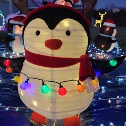 Zoneton Christmas House