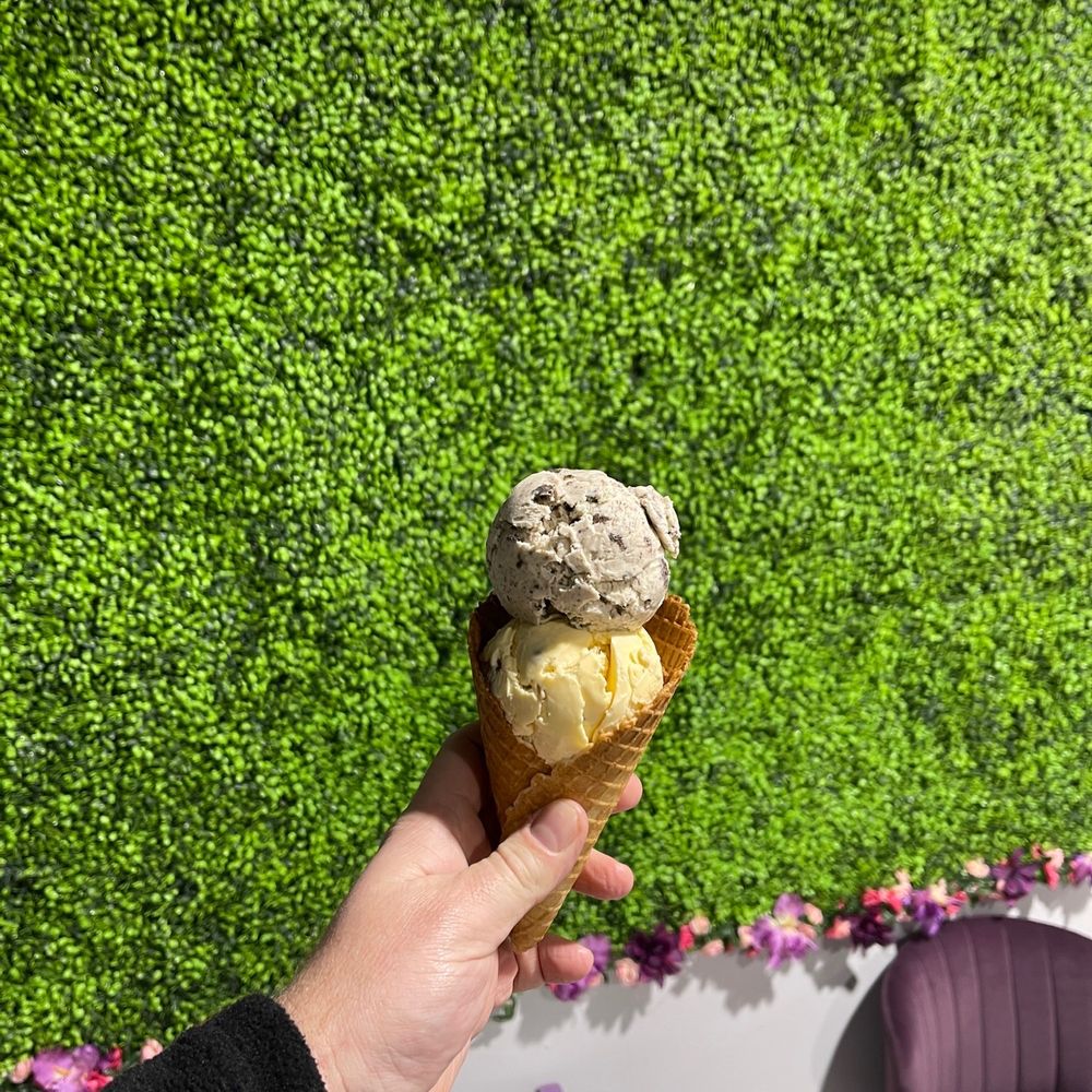 Boba N Scoop - Cute photograph wall with waffle cone, butter pecan & cookies and cream - Bubble Tea Near Me - Crosby, Texas Boba N Scoop - Cute photograph wall with waffle cone, butter pecan & cookies and cream - Bubble Tea Near Me - Crosby, Texas