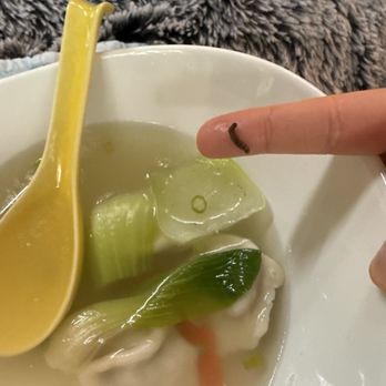 Frank's Noodle House - Beaverton - I found a worm in my food. - Chinese Near Me - Beaverton, Oregon Frank's Noodle House - Beaverton - I found a worm in my food. - Chinese Near Me - Beaverton, Oregon