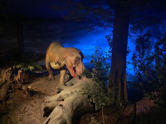 Milwaukee Public Museum by null