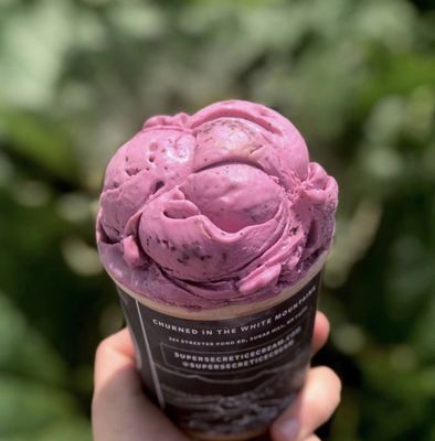 Super Secret Ice Cream by null