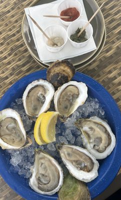 Carr's Oyster Bar by null