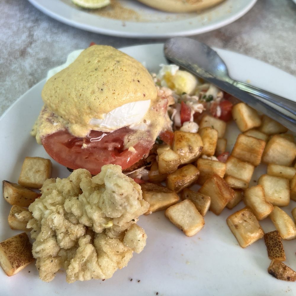 Key Largo Conch House - Crack conch Benedict. Comes with two, but couldn't wait. :) - Seafood Near Me - Key Largo, Florida Key Largo Conch House - Crack conch Benedict. Comes with two, but couldn't wait. :) - Seafood Near Me - Key Largo, Florida