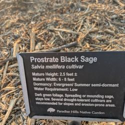 Paradise Hills Native Garden
