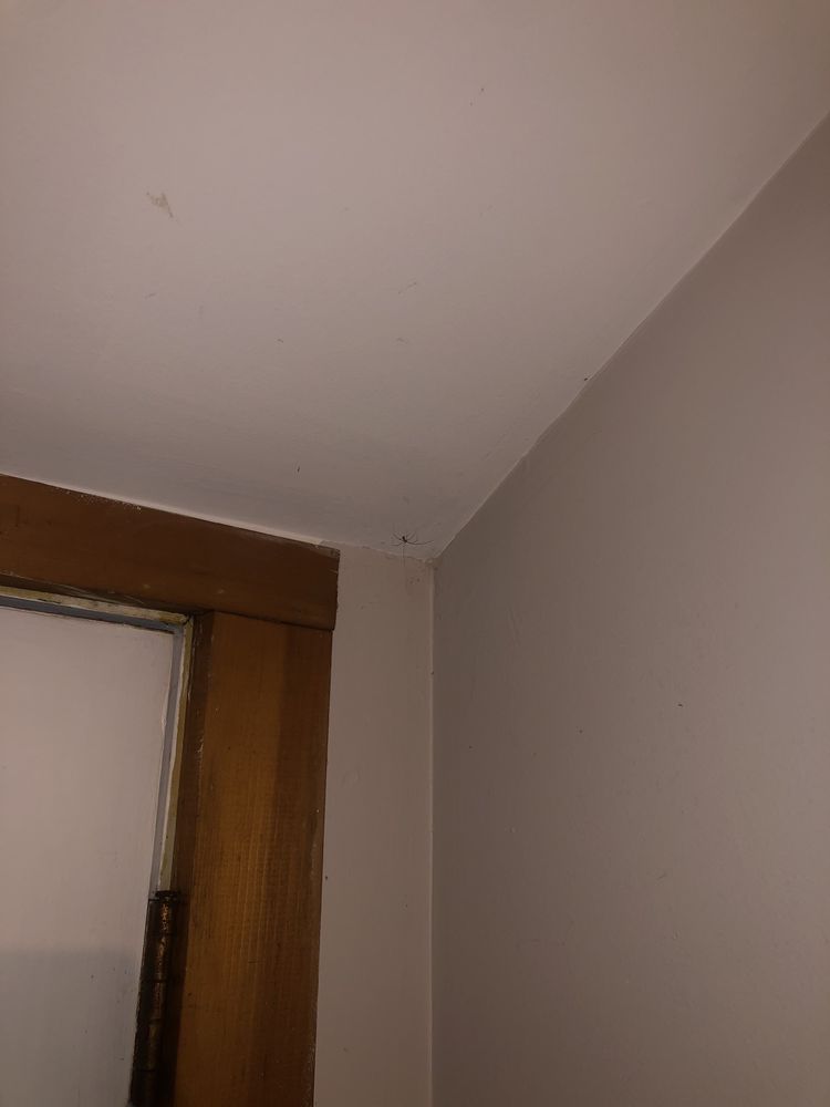 COZY CABINS MOTEL Updated August 2024 Montauk Hwy, Wainscott, New