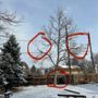 Photo of Blue River Forestry & Tree Care